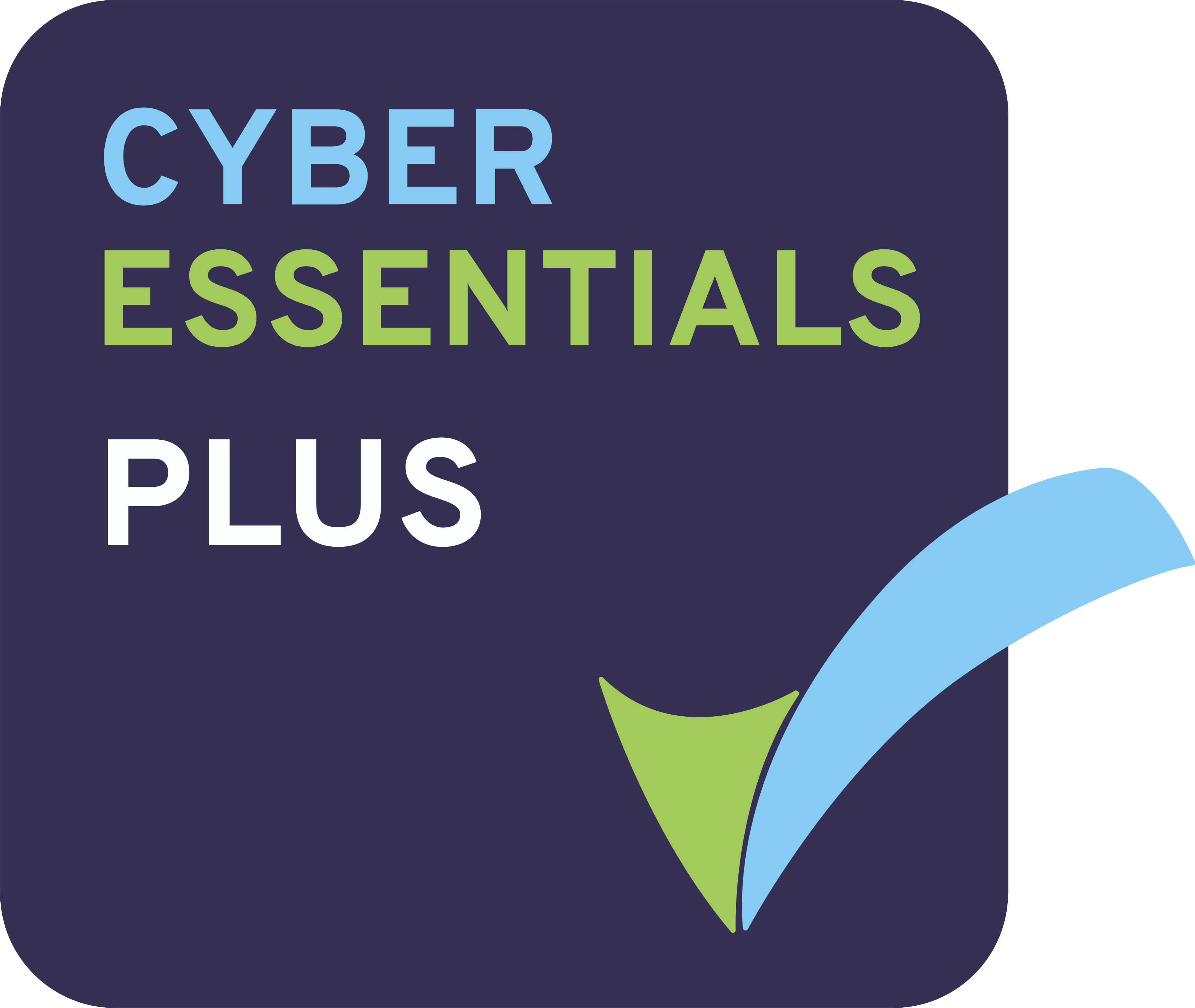 Cyber Essential Plus Technical Office