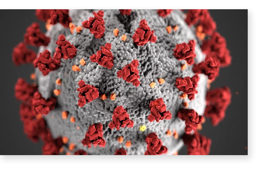 Dendrite Clinical Systems’ innovative “Intellect Web” software collecting COVID-19 data