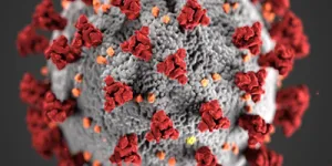 Dendrite Clinical Systems’ innovative “Intellect Web” software collecting COVID-19 data