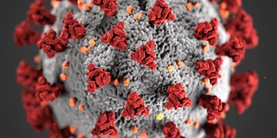 Dendrite Clinical Systems’ innovative “Intellect Web” software collecting COVID-19 data