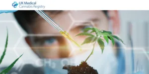 Sapphire Medical Clinics and Dendrite Clinical Systems launch UK Medical Cannabis Registry